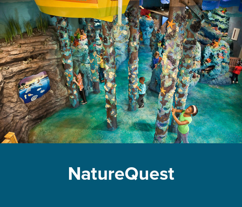NatureQuest
