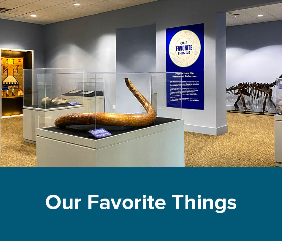 Our Favorite Things Exhibit